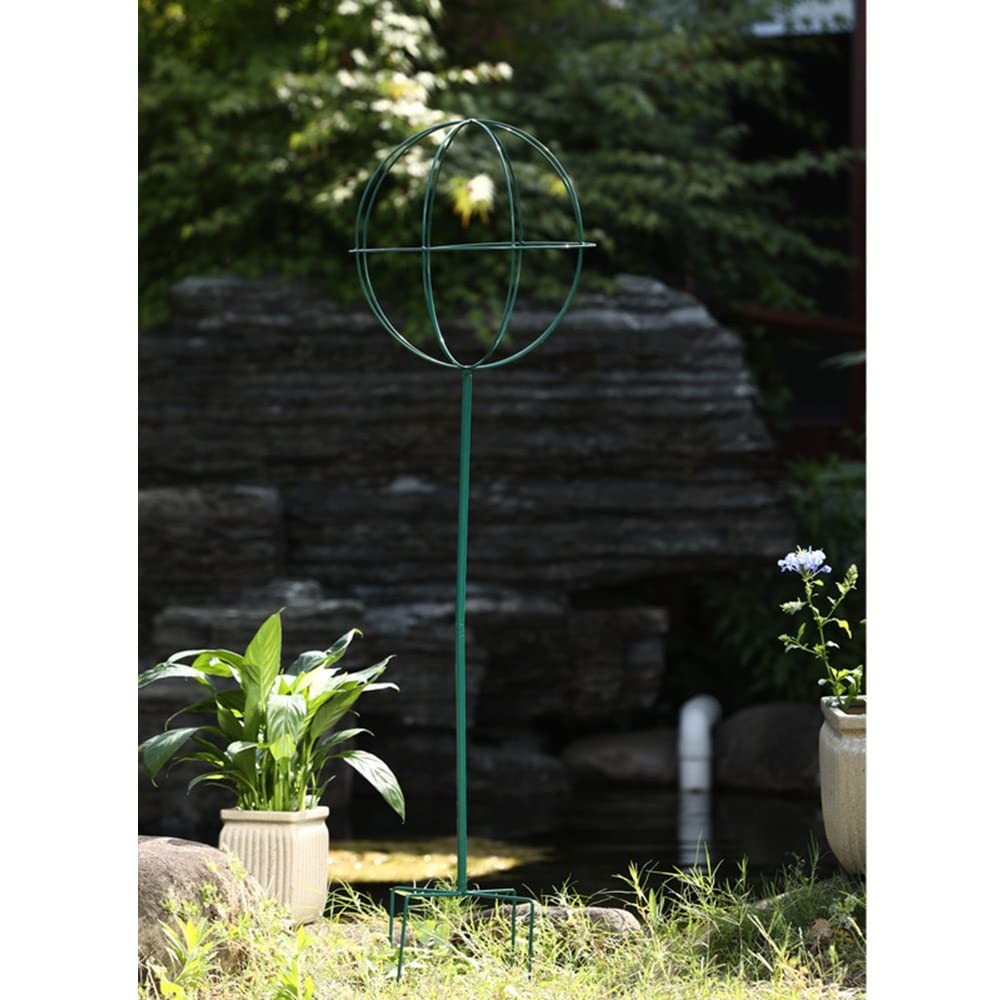 Amazon.com : Plant Stand, Plant Climbing Trellis Lollipop Shape